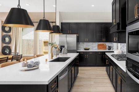 Candela 50' by Coventry Homes in Richmond - image 5