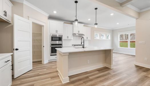 Garland Meadows by Chafin Communities in Cartersville - image 6
