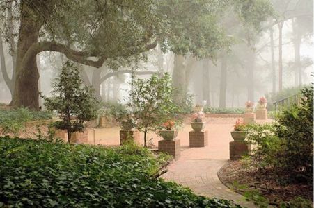 Hitchcock Preserve 60' 22