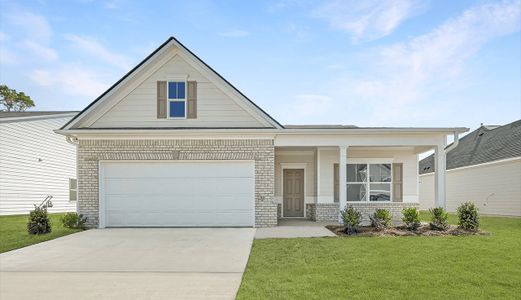 Arrington by Smith Douglas Homes in Adairsville - photo 10 10