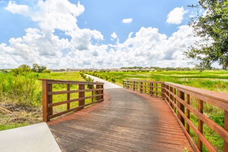 Epperson by M/I Homes in Wesley Chapel - photo 23 23