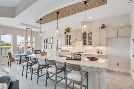 Marina Del Palma by Paytas Homes in Palm Coast - image 8