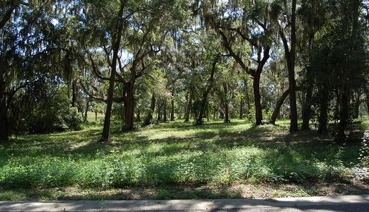 Waterman's Bluff by North Florida Builders in Yulee - photo 1 1