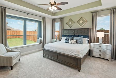 Triple Diamond Ranch by Bloomfield Homes in Mansfield - photo 26 26