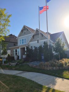 Painted Tree - Classic Series by David Weekley Homes in McKinney - image 10