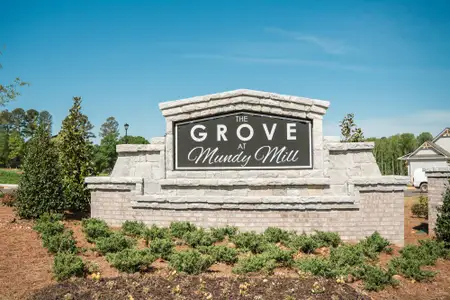 The Grove At Mundy Mill by Dream Finders Homes in Gainesville - image