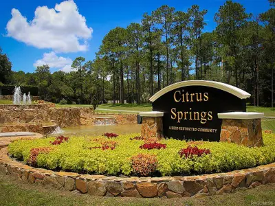 Citrus Springs Subdivision by Adams Homes in Beverly Hills - image