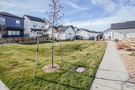 Bloom Cottages 57