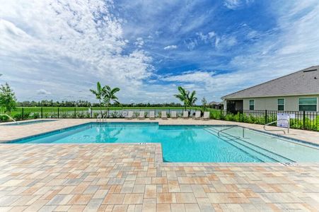 The Laurels by Medallion Home in Parrish - image 18