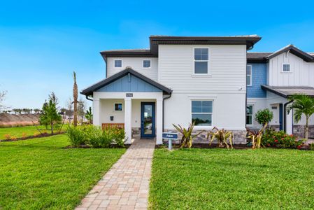 Palmera at Wellen Park by M/I Homes in Venice - image 4