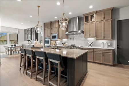Shavano Highlands by Drees Custom Homes in San Antonio - image 3