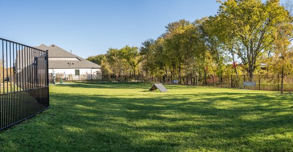Mantua Point: 55ft. lots by Highland Homes in Van Alstyne - image 5