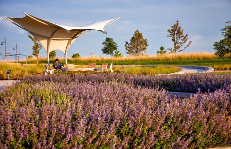 Pavilions equipped with barbecue pits, perfect for cookouts and gatherings.