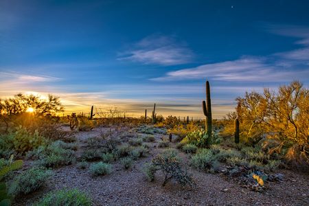 Just a short drive to Estrella Mountain Regional Park