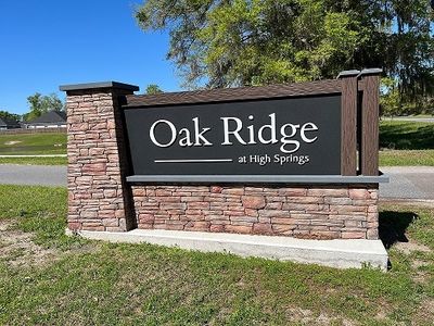 Oak Ridge by D.R. Horton in High Springs - photo 0