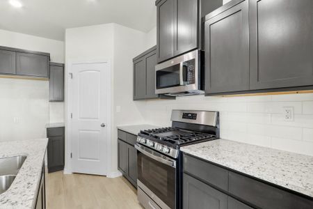 Paseos Del Este by View Homes in Horizon City - image 11