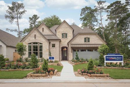 Meridiana 55' Homesites by David Weekley Homes in Manvel - photo 29 29