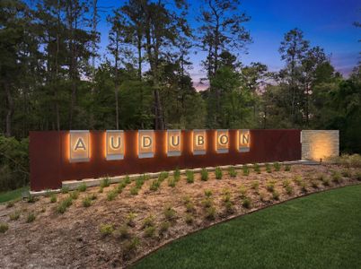 Audubon by Century Communities in Magnolia - image