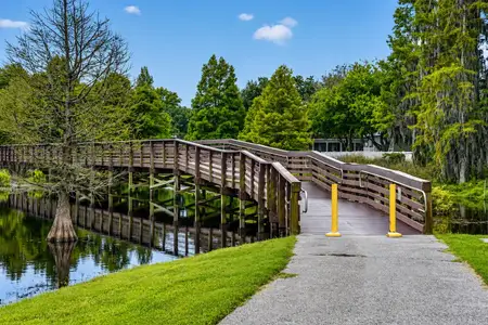 Longleaf: The Havens 20