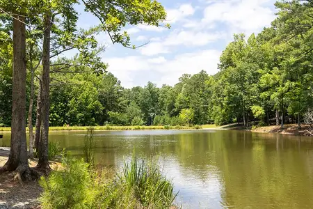 River Oaks by Stanley Martin Homes in Locust Grove - photo 2 2