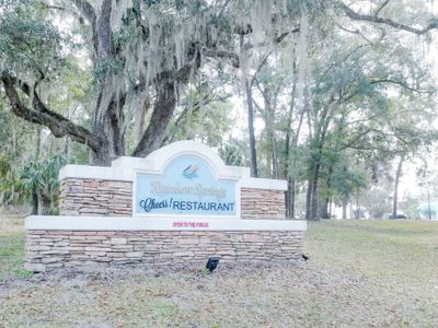 Rainbow Springs by Triple Crown Homes in Dunnellon - image