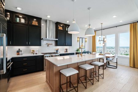 The Point at Rough Hollow by David Weekley Homes in Lakeway - image 5