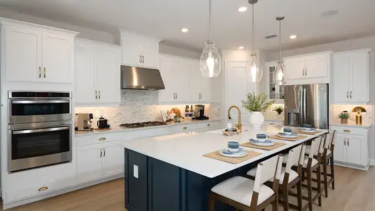 Morris Bend by Taylor Morrison in Tampa - image