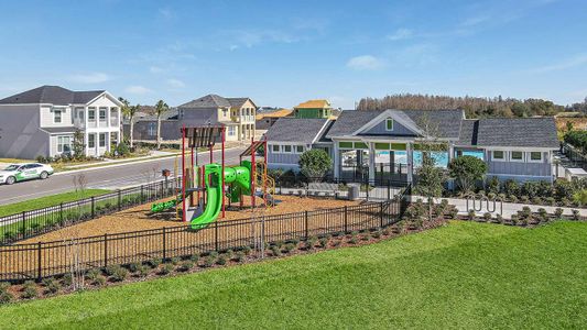 Persimmon Park - Garden Series by David Weekley Homes in Wesley Chapel - photo 7 7