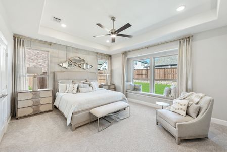 Windsong Ranch by Bloomfield Homes in Prosper - image 9