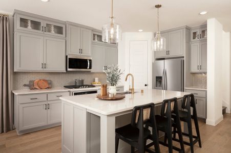 Pecan Square 40' by Coventry Homes in Northlake - image 6