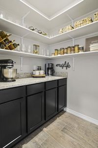 Paseos Del Este by View Homes in Horizon City - image 6