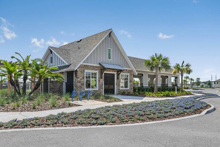 Hawkstone by Homes by WestBay in Lithia - image 11