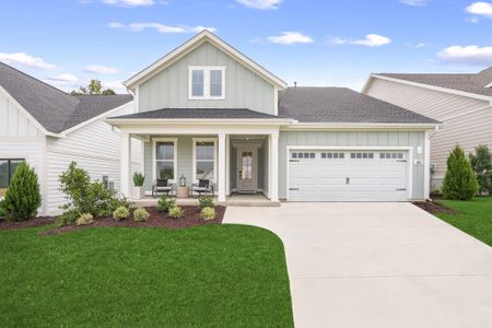 The Pines Collection at Serenity | A 55+ Community 1