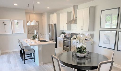 Urban Collection at Big Sky by Richmond American Homes in Kissimmee - photo 11 11