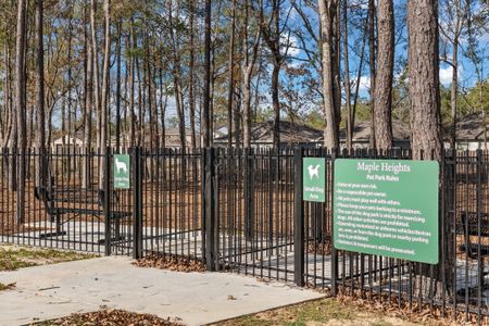 Maple Heights by Century Communities in Porter Heights - photo 14 14