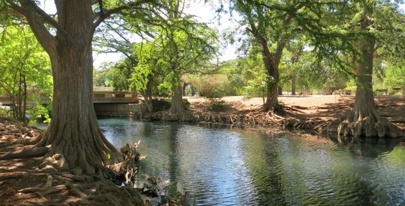 Voss Farms: Coastline Collections by Lennar in New Braunfels - photo 8 8