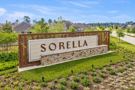 Sorella by M/I Homes in Tomball - image 16