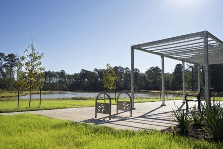 Audubon by Smith Douglas Homes in Magnolia - image 12