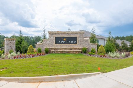 Tapp Farm by Traton Homes in Powder Springs - photo 2 2