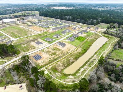 Lone Star Landing by M/I Homes in Montgomery - photo 47 47