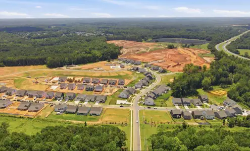 Carrington by Eastwood Homes in Stanley - image 12