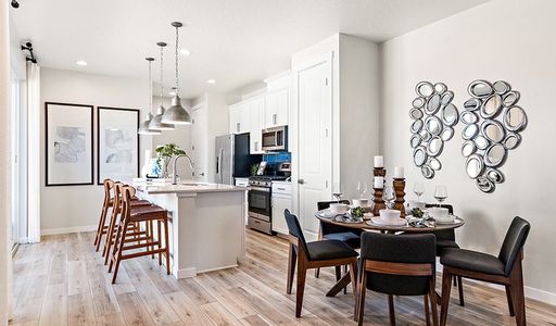 Urban Collection at Looking Glass by Richmond American Homes in Parker - photo 41 41