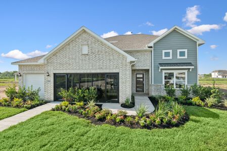 Foxtail Palms by Smith Douglas Homes in Manvel - image