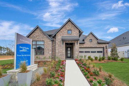 Audubon – Ascent Collection by David Weekley Homes in Magnolia - image 4