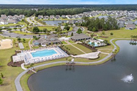 Clear Pond - The Coastline Series by Meritage Homes in Myrtle Beach - image