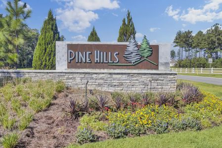 Pine Hills at Cane Bay by D.R. Horton in Summerville - photo 1 1