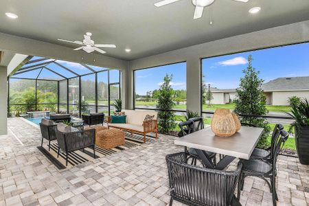 Persimmon Park - Cottage Series by David Weekley Homes in Wesley Chapel - photo 35 35