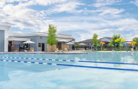 Resort-Style Pool With Lap Lanes and Kids’ Splash Zone