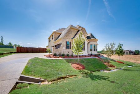 Steeplechase by Megatel Homes in Hickory Creek - image