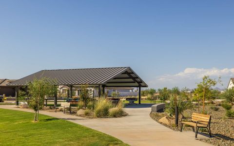 Mariposa by Brookfield Residential in Apache Junction - photo 16 16